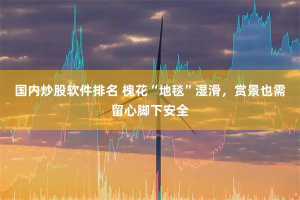 国内炒股软件排名 槐花“地毯”湿滑，赏景也需留心脚下安全